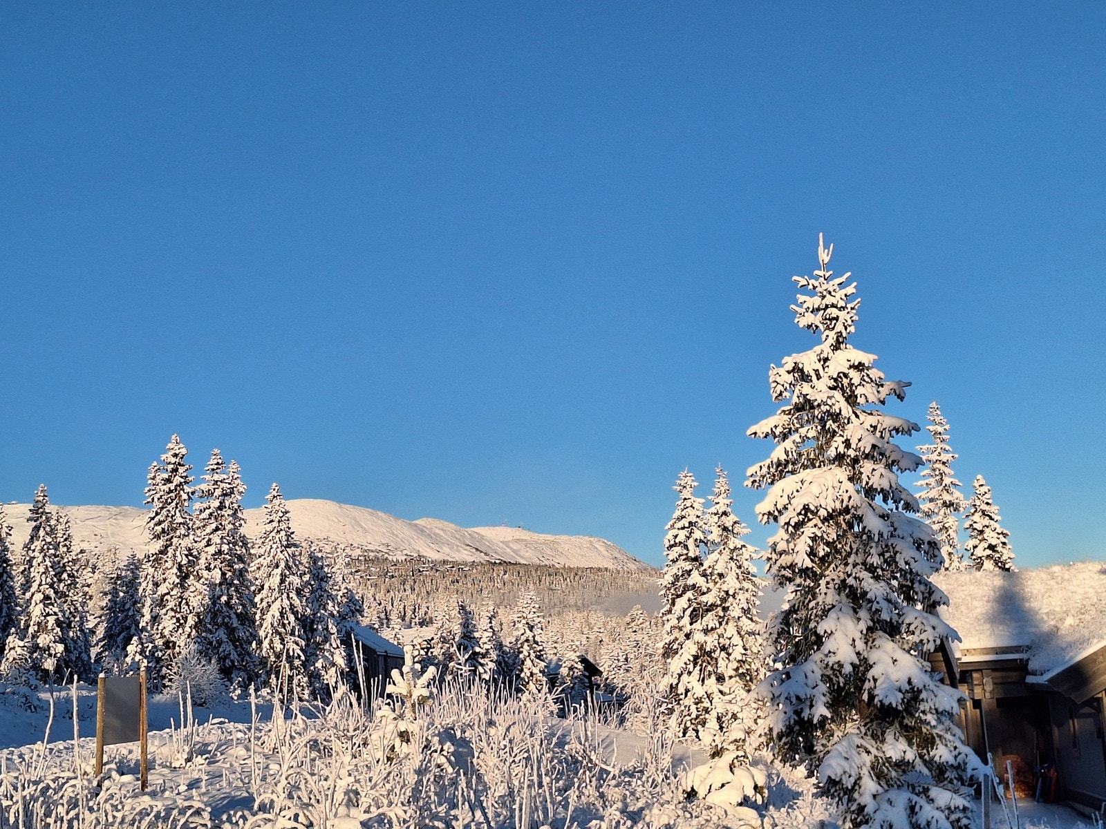 Utsikt fra tomten Galleribilde