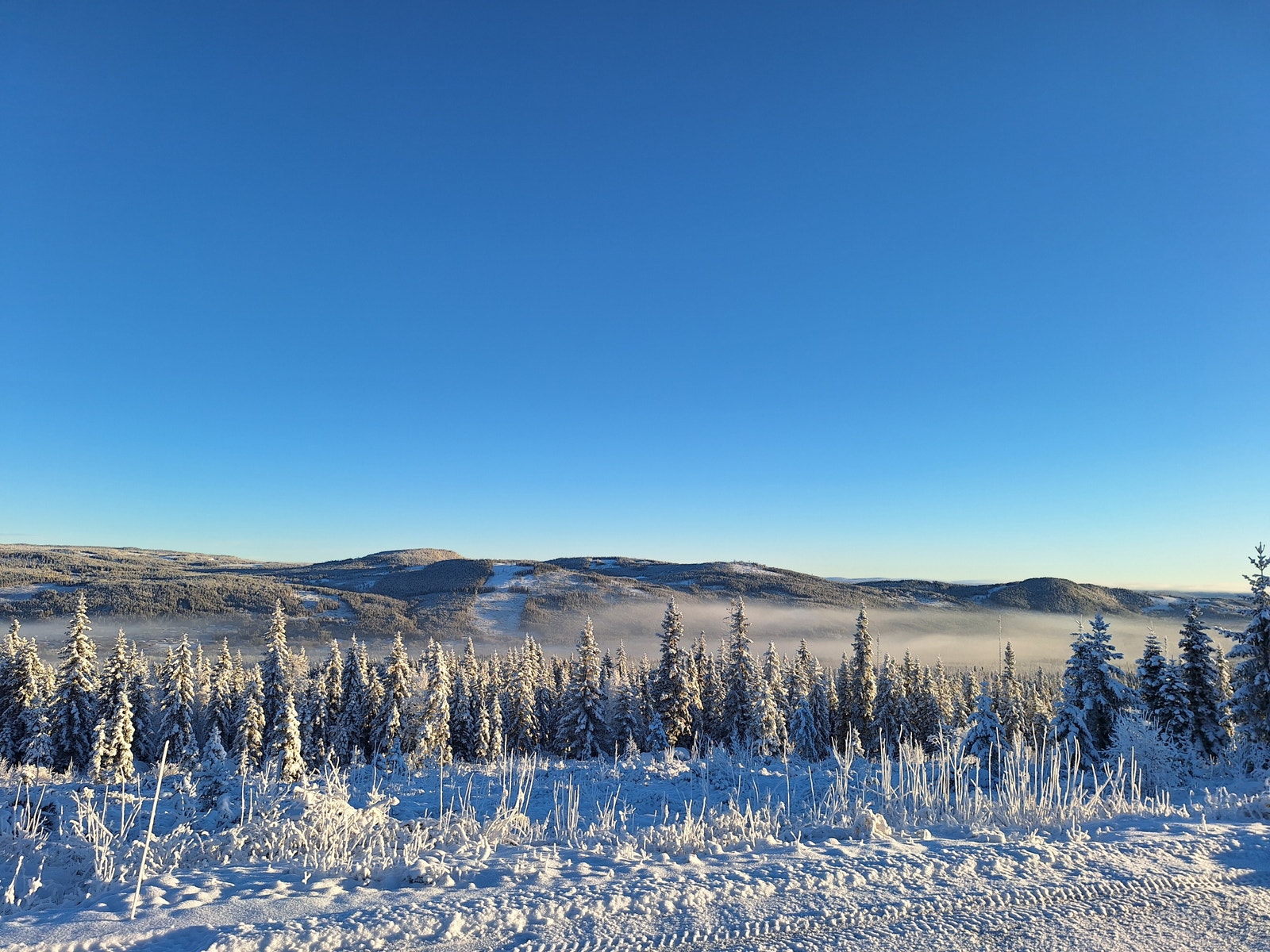 Utsikt fra tomten Galleribilde
