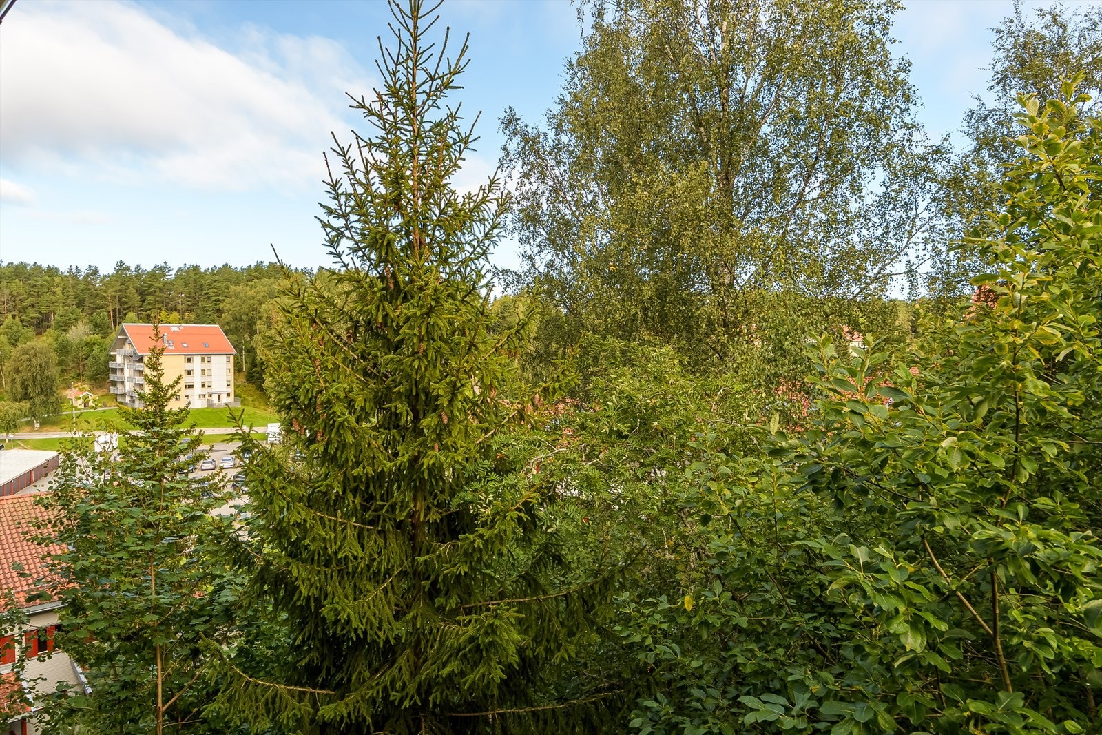 Nydelig grønn utsikt fra kjøkkenet Galleribilde