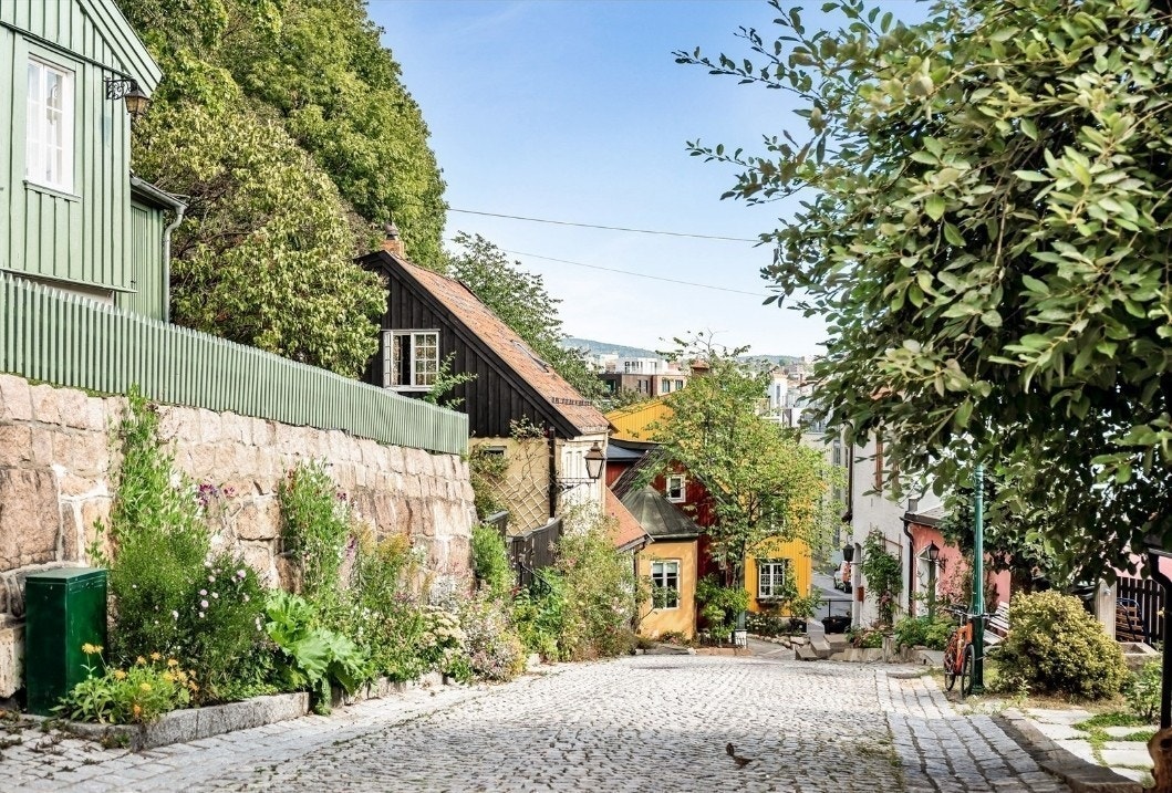 Nærområdet damestrede Galleribilde