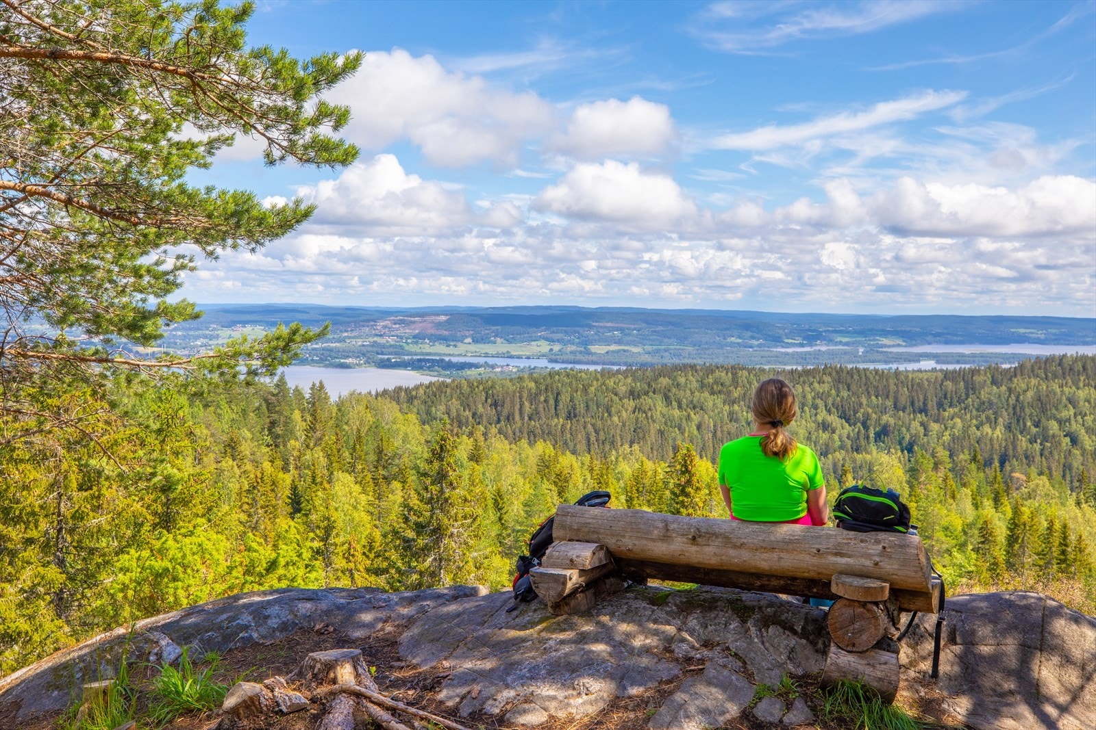 Her finner du flere lysløyper, klatrevegg, et mylder av turstier og mulighet for blant annet stolpejakt. Galleribilde