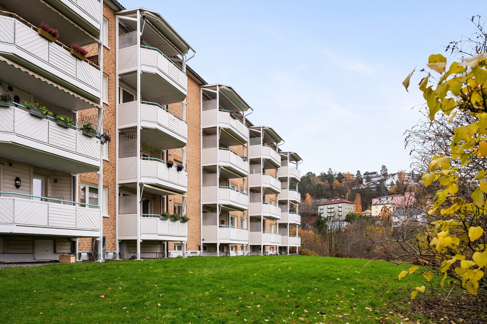 Fasade. Galleribilde