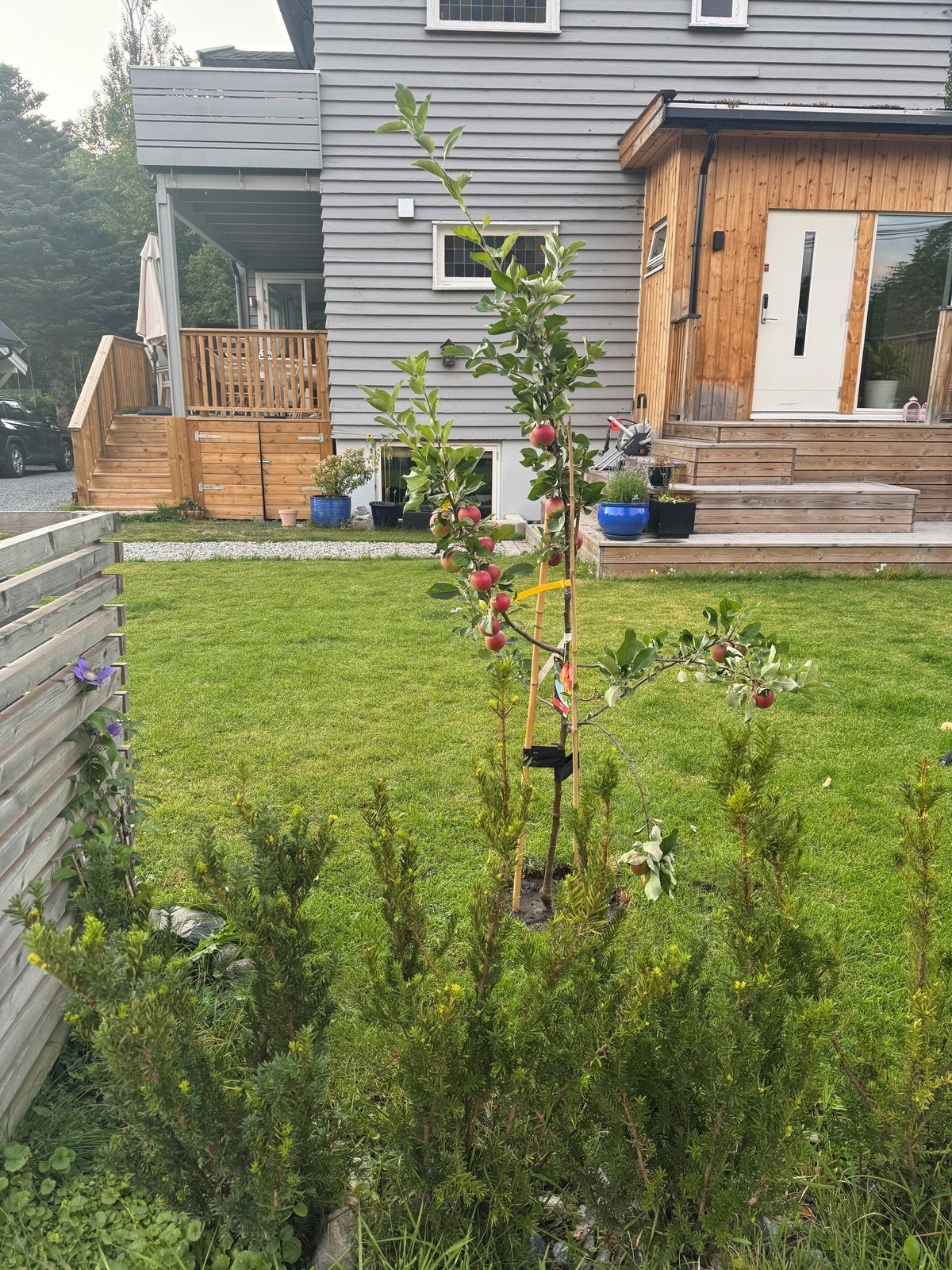 Utleiers hagebilder. Galleribilde