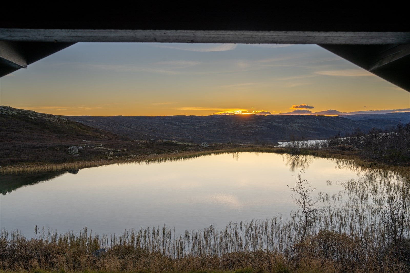 Bildene taler for seg.... Galleribilde