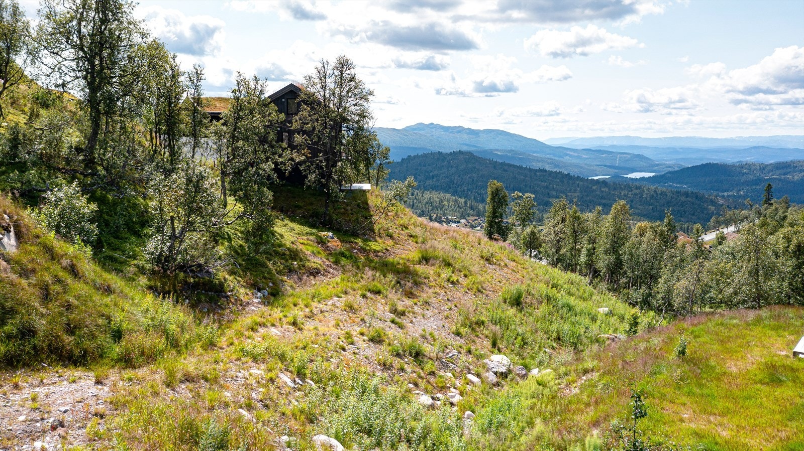 Rett på nedsiden av tomten ligger det en idyllisk bekk Galleribilde