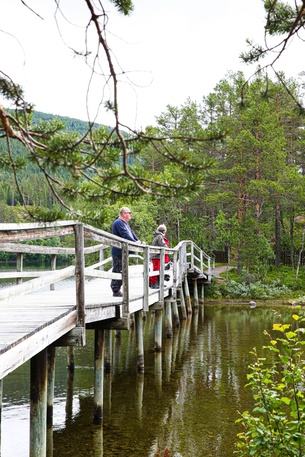 Opplev den særegne naturen i Espedalen! Kun noen minutter unna tomtefeltet finner du en unik fjellkirke med særegen og gammel gravholme. Galleribilde