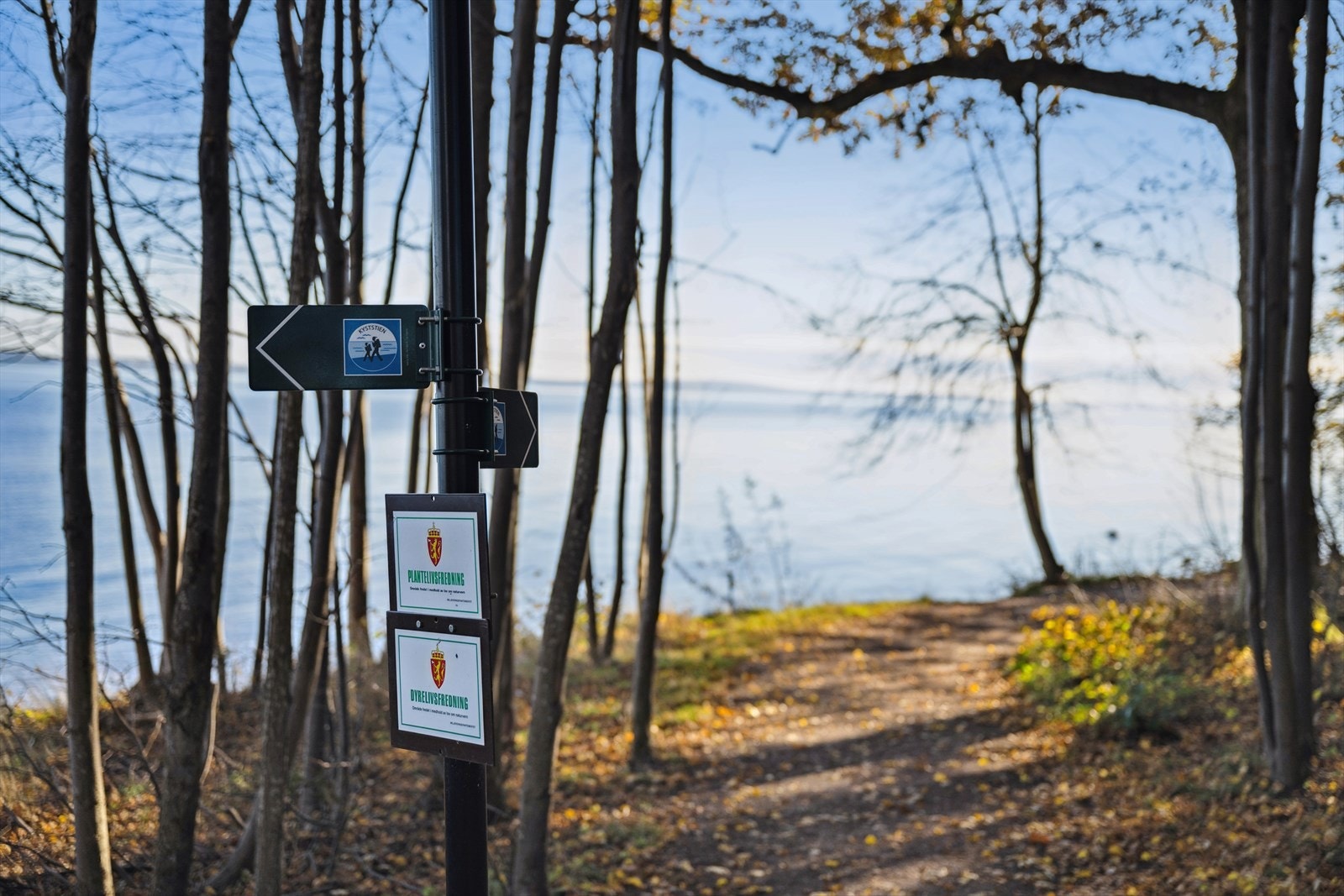 Hortensskogen - God tur! Galleribilde