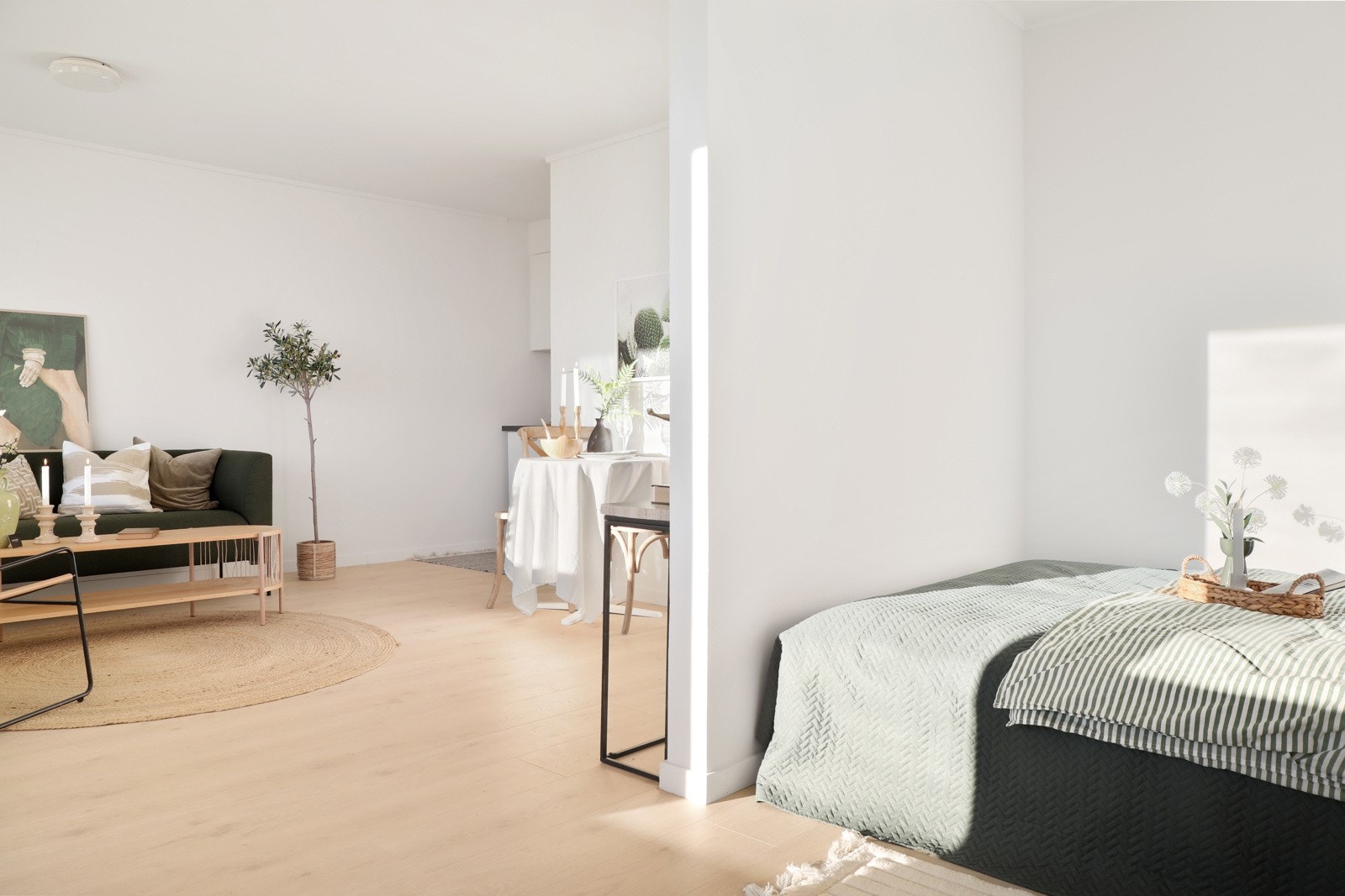 1-roms selveierleilighet Galleribilde