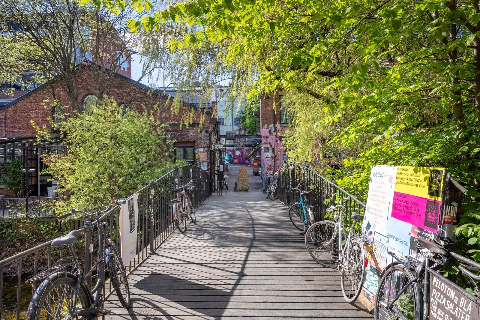 Området er omringet av koselige barer som Blå langs koselige stier og veier Galleribilde