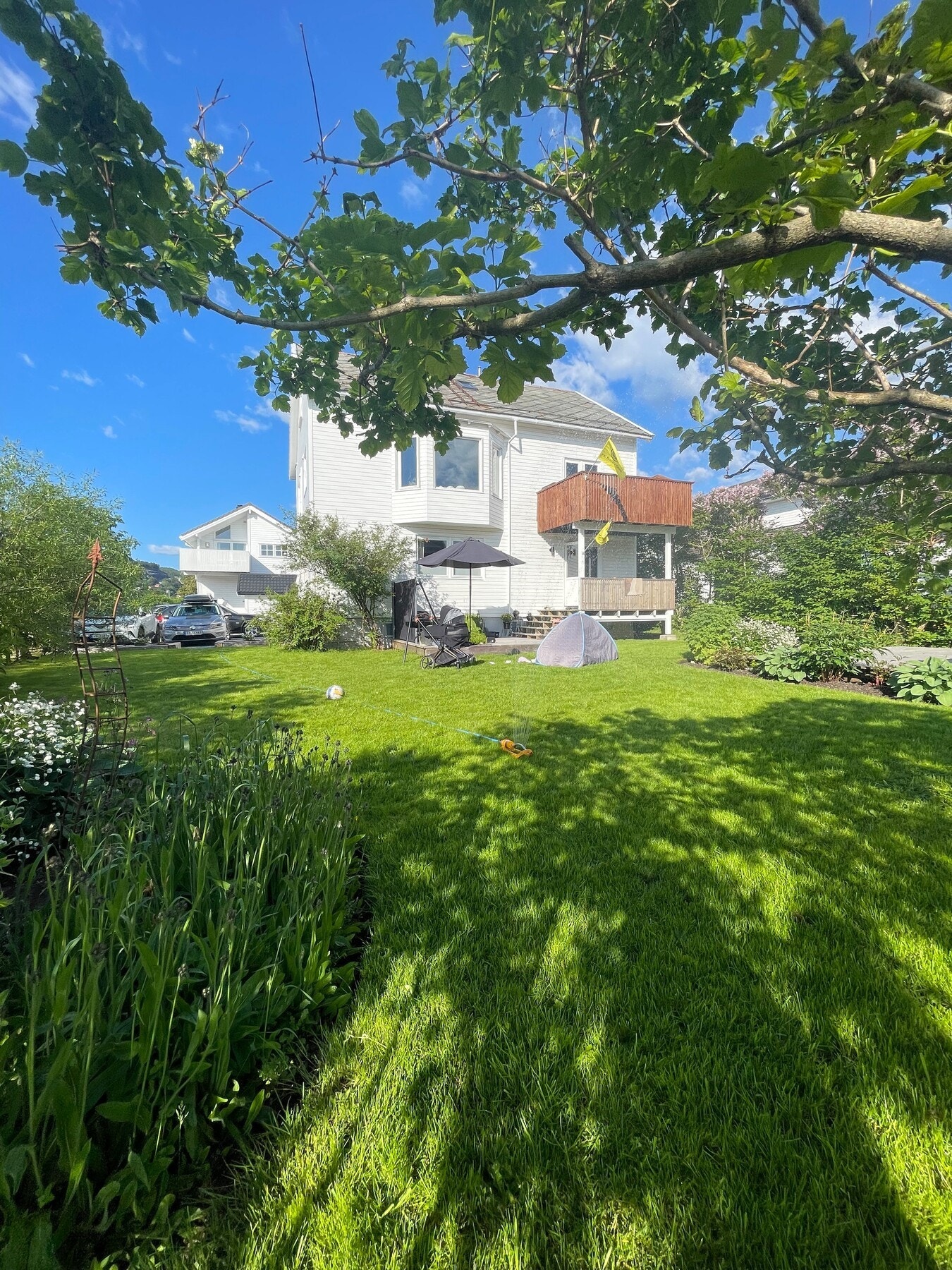 Sommerbilde tatt av selger. Galleribilde