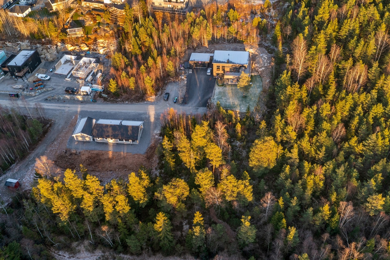 Fortlia 12! Galleribilde