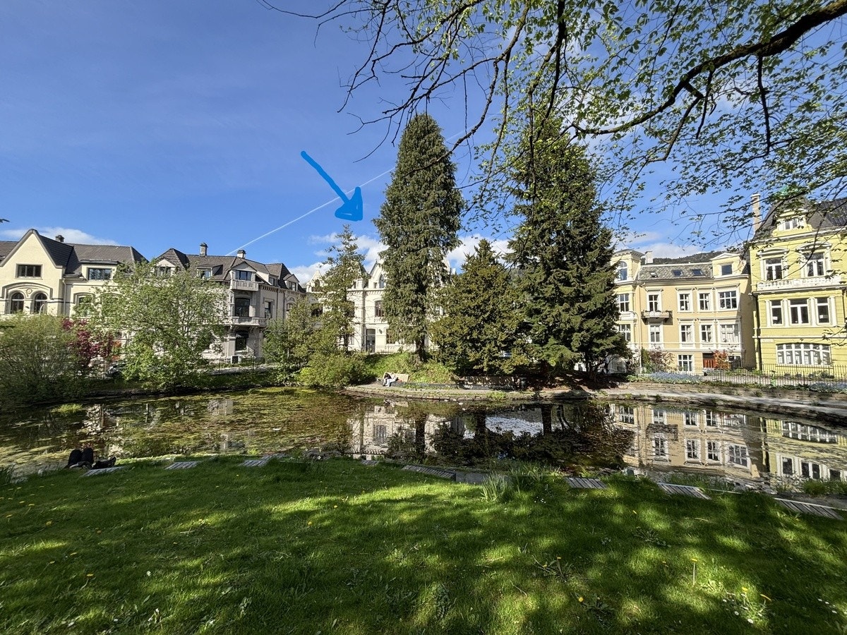 Nygårdsparken som nærmeste nabo! Galleribilde