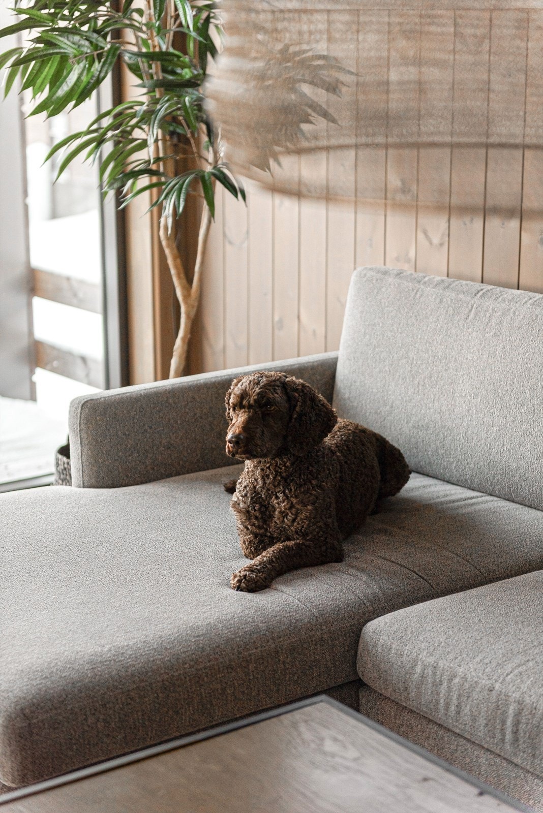 Her er det rom for avslapning med utsikt mot naturen. Galleribilde