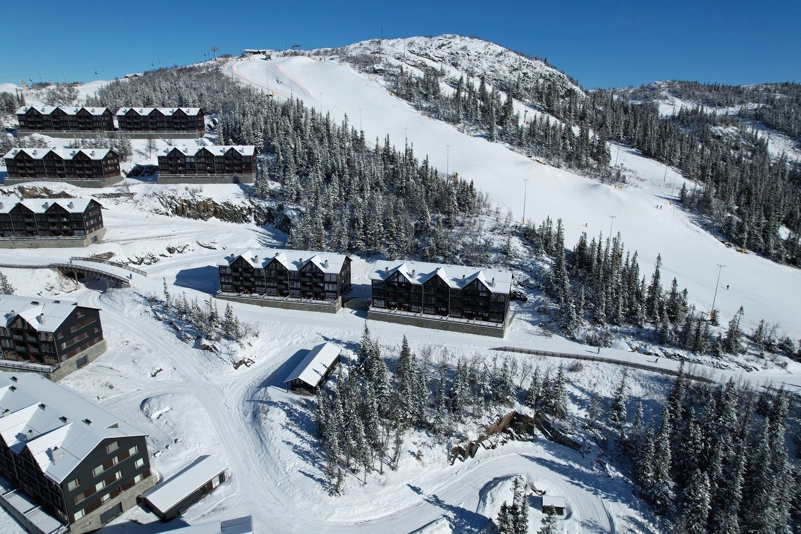 Gaustablikk skianlegg er kjent for sitt pålitelige snøforhold og tidlige åpning hver vinter. Området har gjennomgått betydelig utvikling og tilbyr nå et moderne anlegg som passer for både store og små. Galleribilde