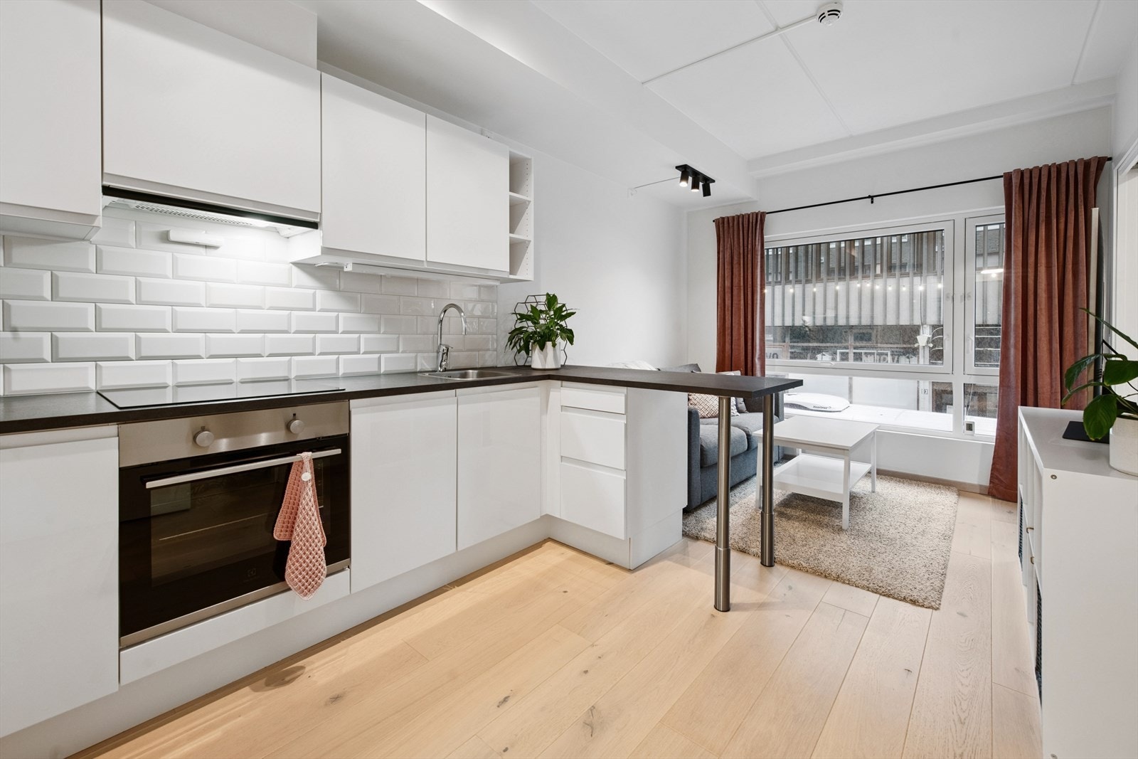 Velkommen til Rådhusgata 10 - Nyere 2-roms selveier midt i sentrum (Foto: Dagmar Ånerud / EFKT) Galleribilde