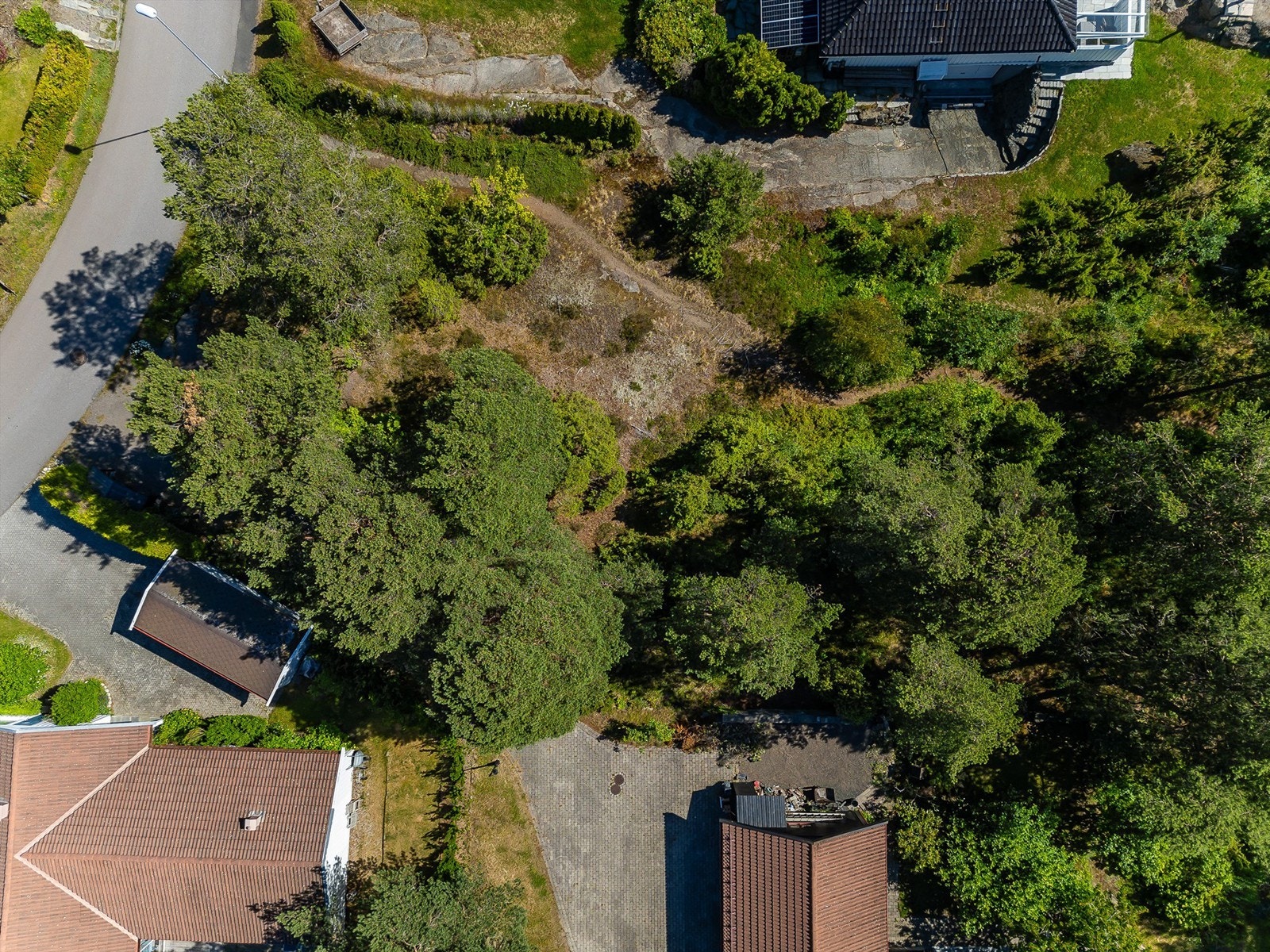 Fugleperspektiv Galleribilde