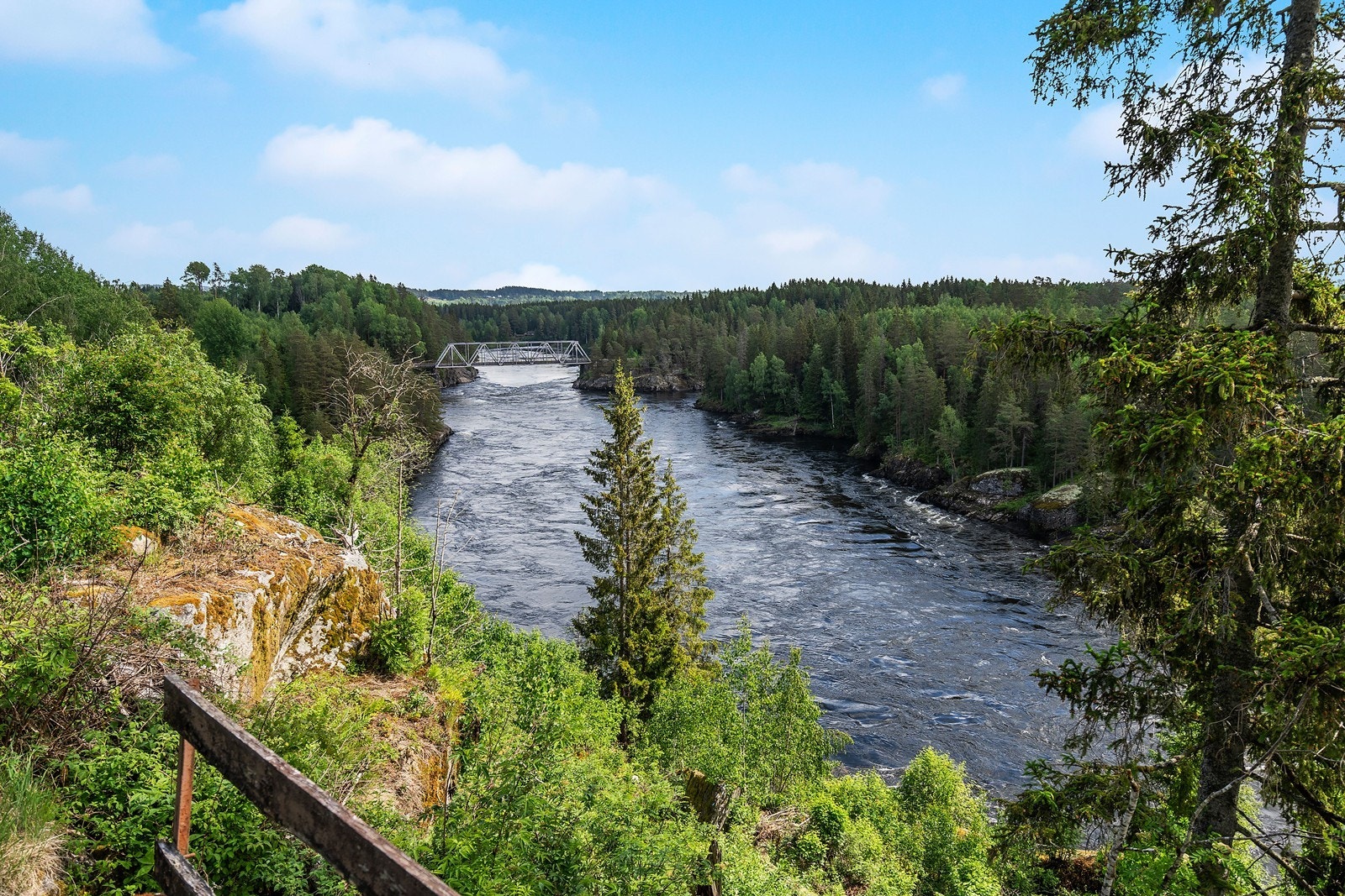 Vakkert skue Galleribilde