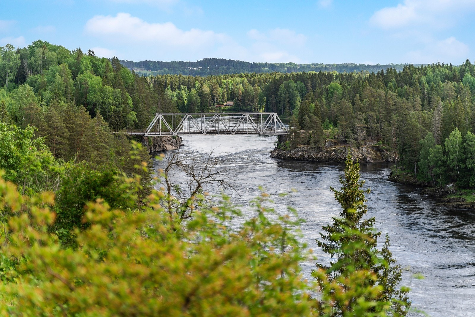 Fine Glomma! Galleribilde