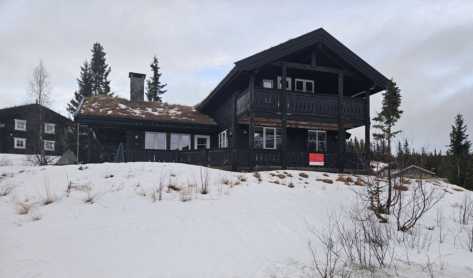 Foto privat Galleribilde