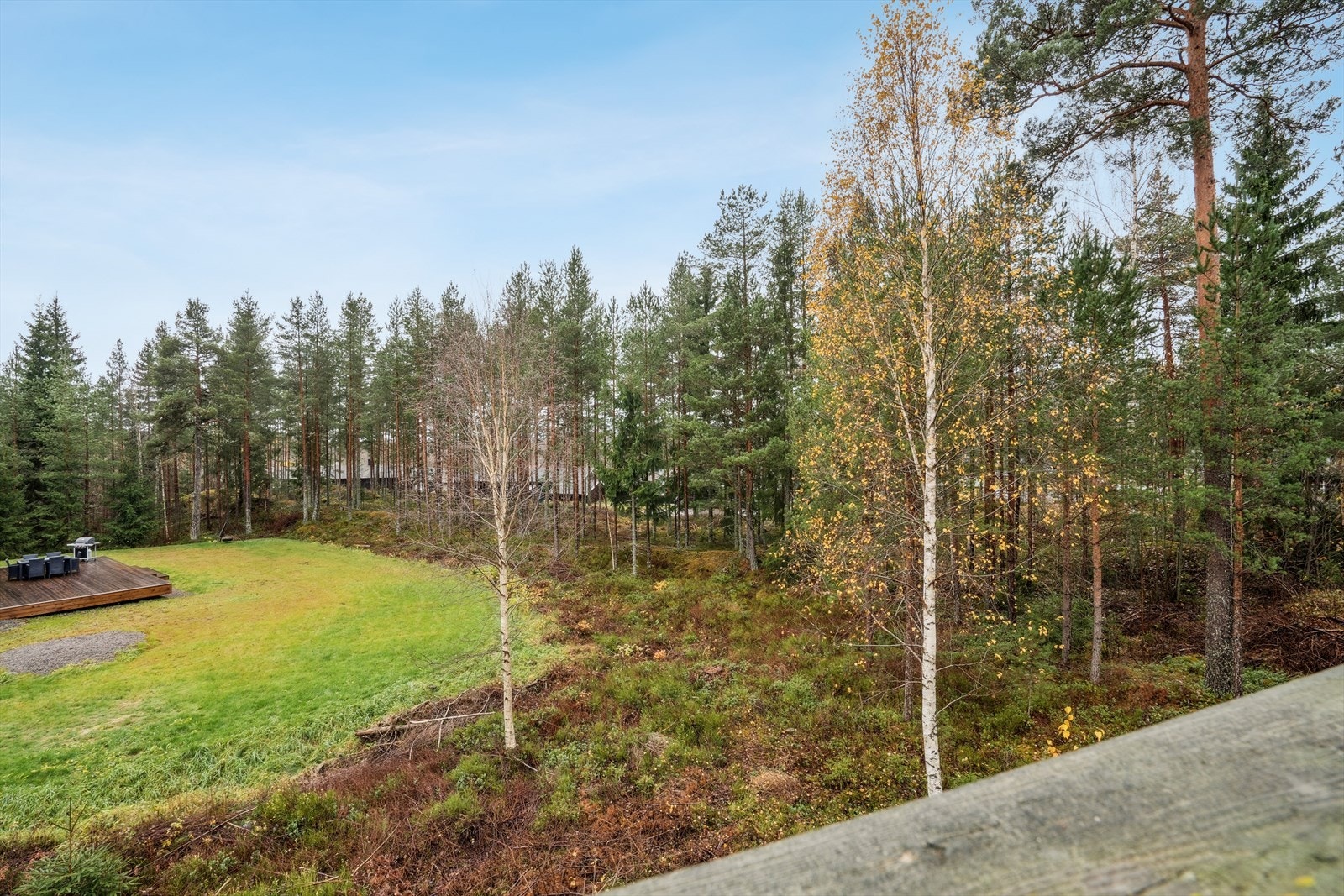 Utsikt mot lite skogholt Galleribilde