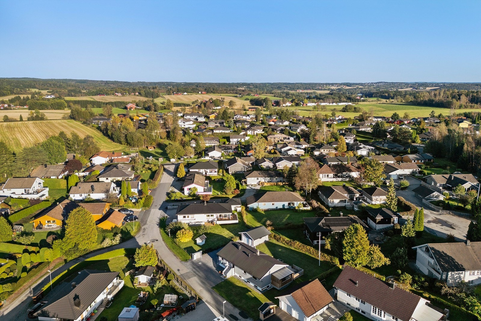 Griniskogen Galleribilde