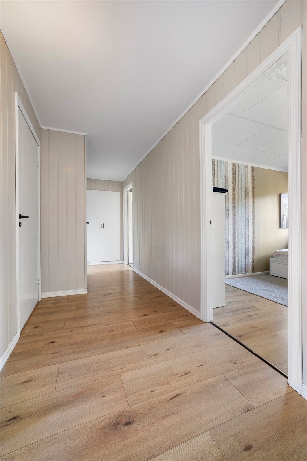 Mellomgang Galleribilde