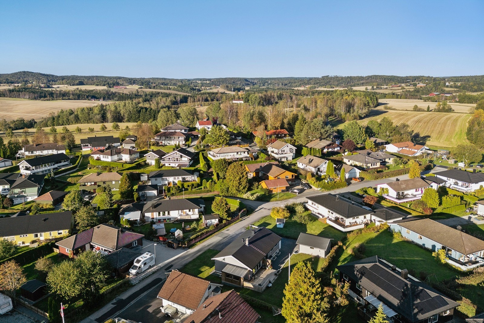 Griniskogen Galleribilde