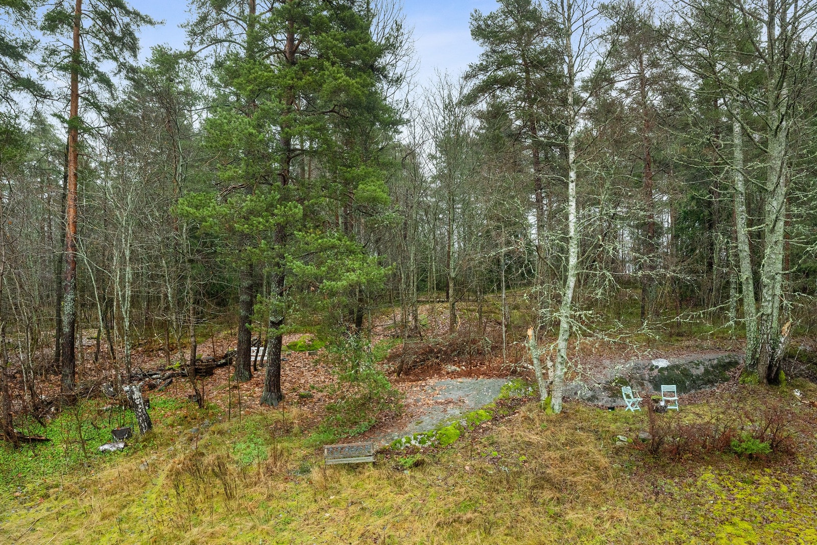 Utsikten mot de grønne omgivelsene trekker naturen nærmere og gir rommet et rolig preg. Galleribilde