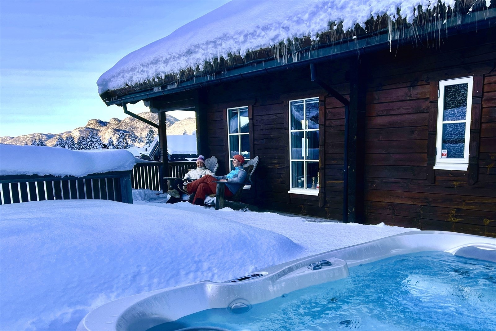 Selgers private vinterbilder Galleribilde