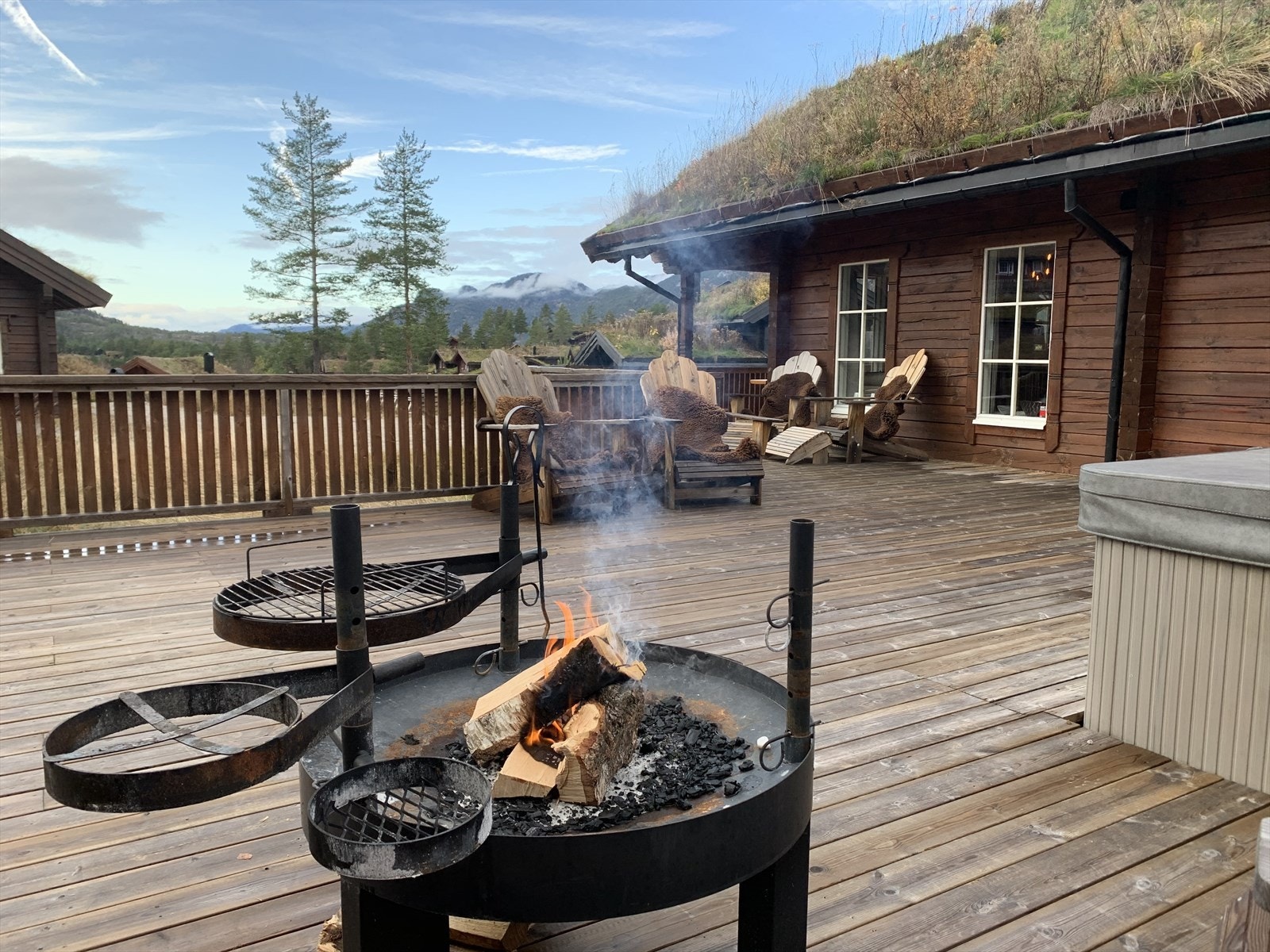 Selgers private bilder Galleribilde