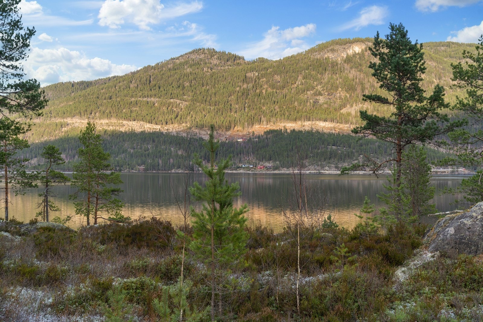 Utsikt mot Vråvatn Galleribilde