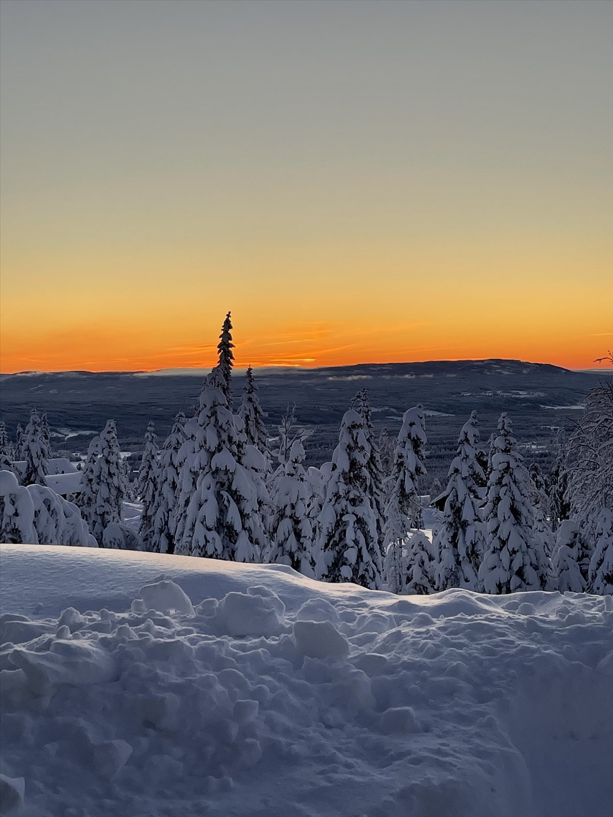 Magiske solnedganger. Selgers private bilde. Galleribilde