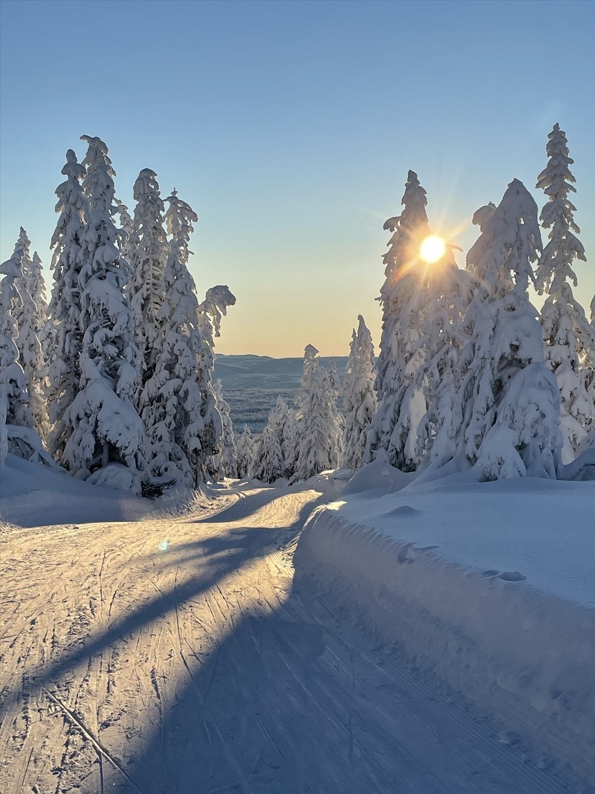 Selgers private bilde. Galleribilde