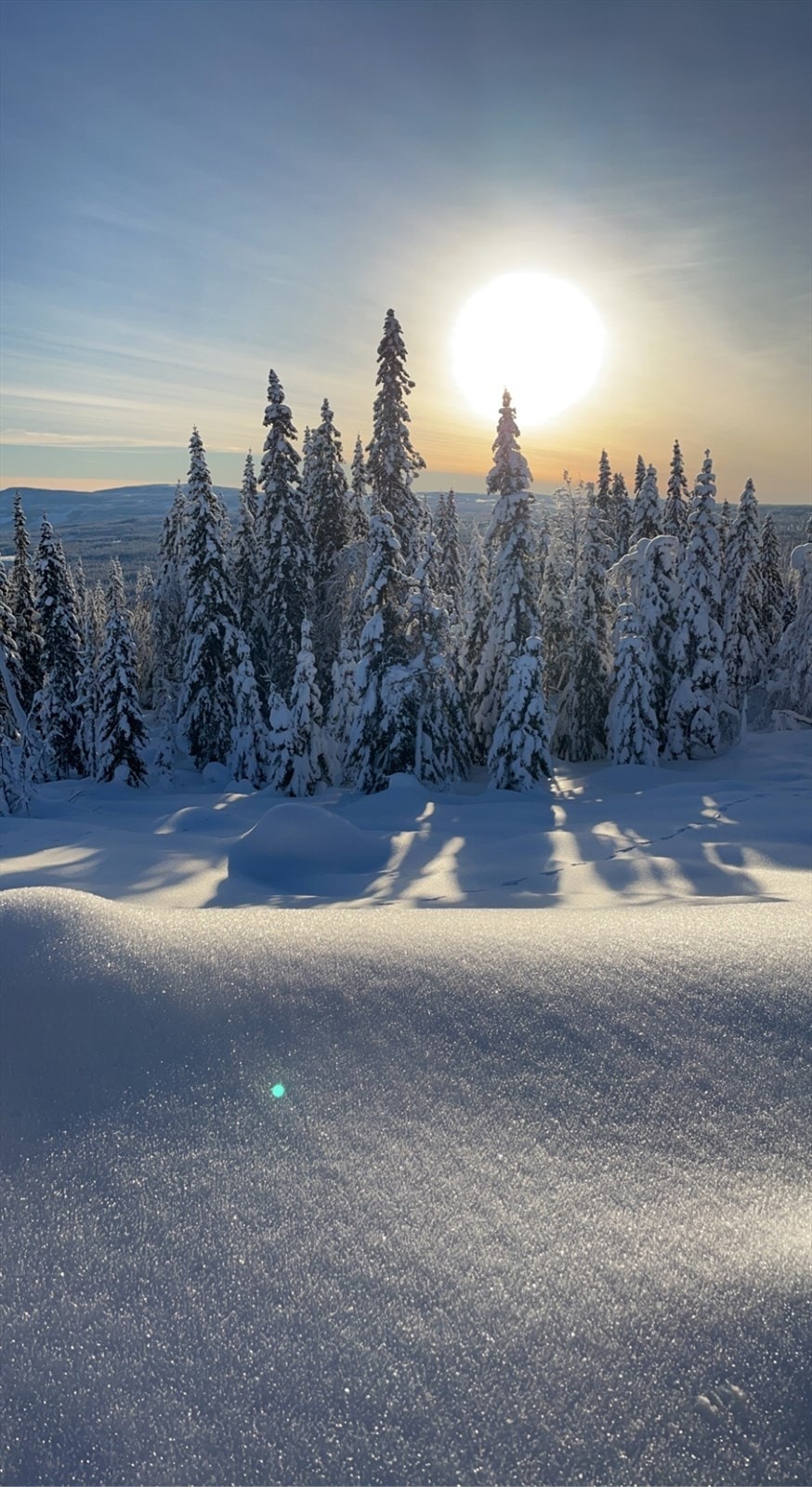 Selgers private bilde. Galleribilde