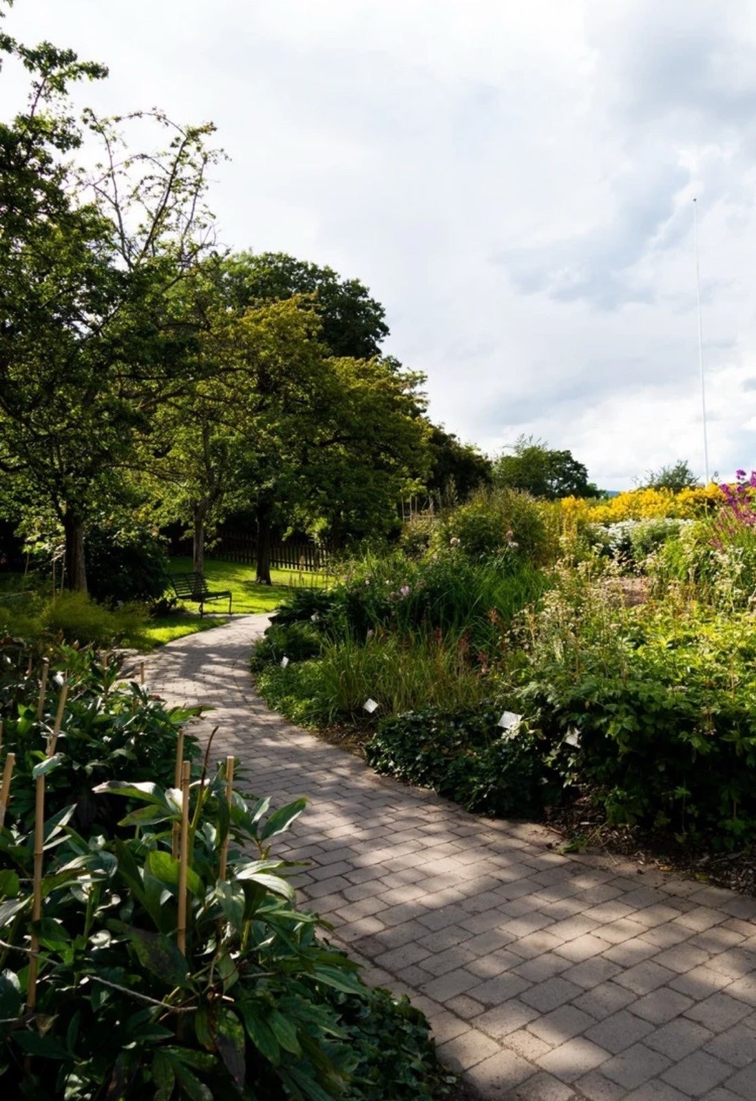 Nærområdet: Botanisk hage. Foto: Notar. Galleribilde