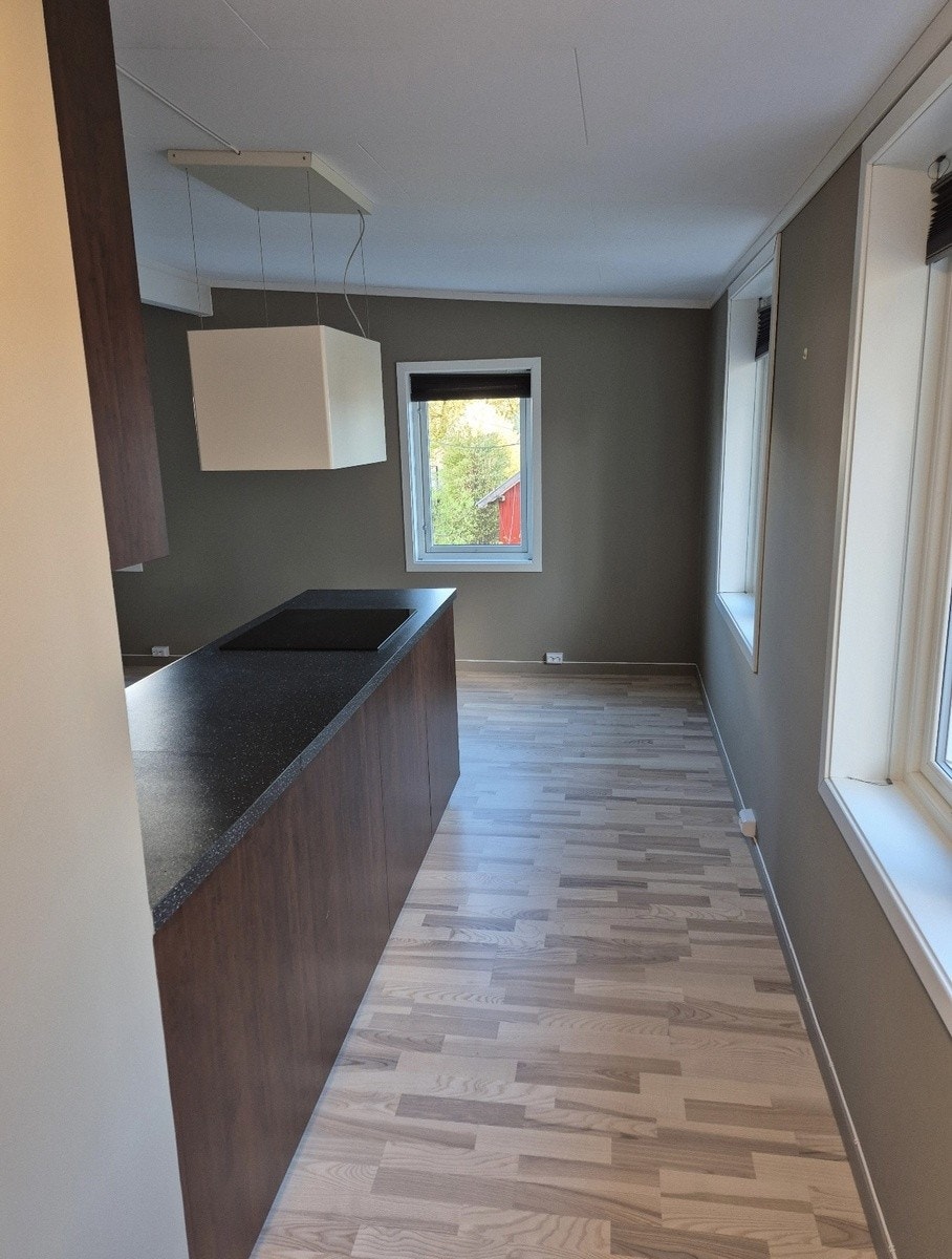 Inngangsparti sett fra døra Galleribilde