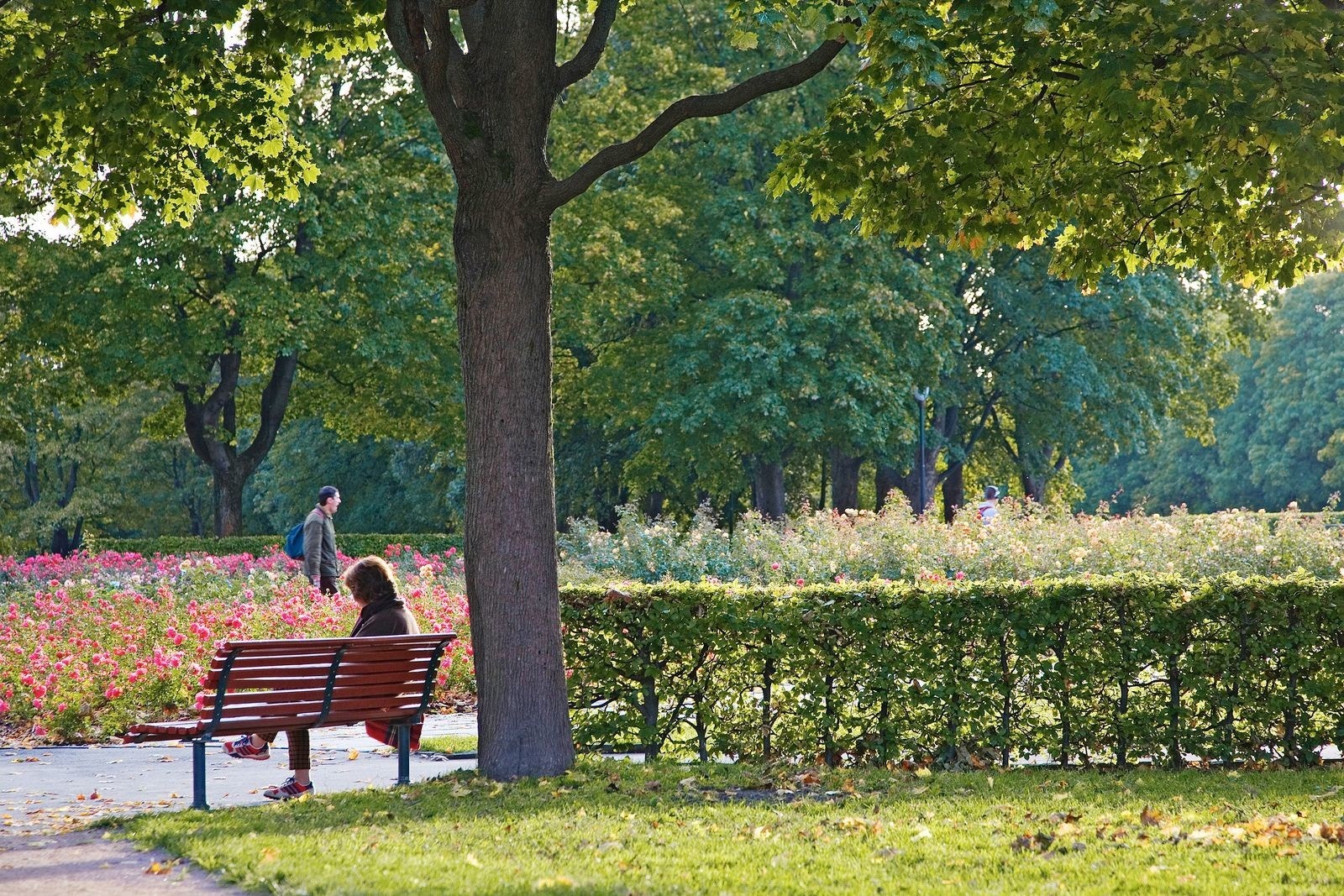 Det er kort vei til ulike tur- og rekreasjonsmuligheter. Galleribilde