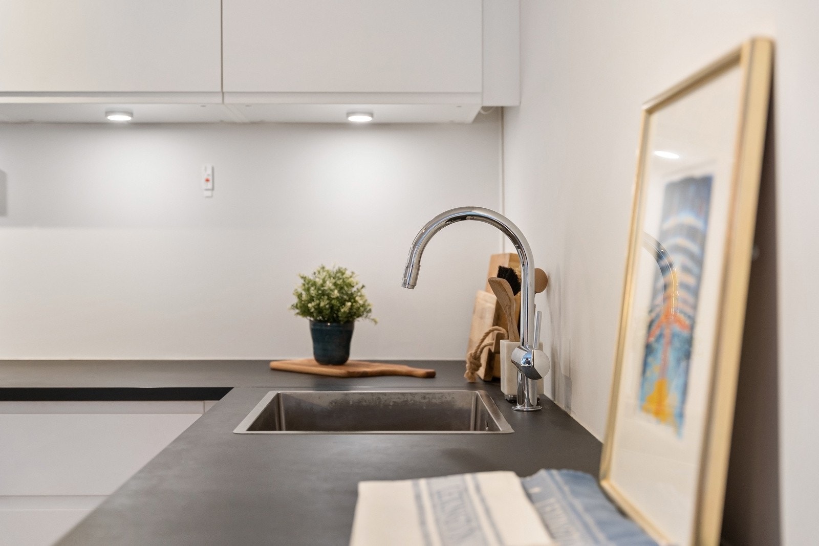 Waterguard er også montert, og det er mulighet for tilkobling til felles avtrekk dersom man ikke ønsker kullfilter. Galleribilde