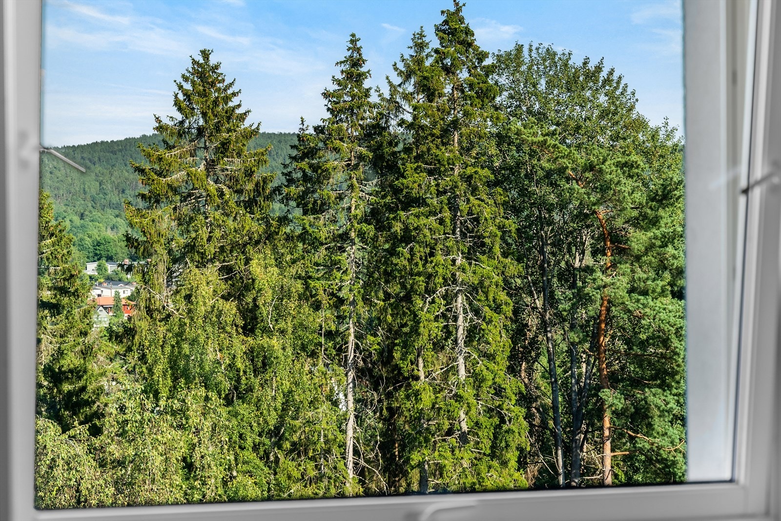 Det er gode tur- og rekreasjonsområder i nærmiljøet. Galleribilde