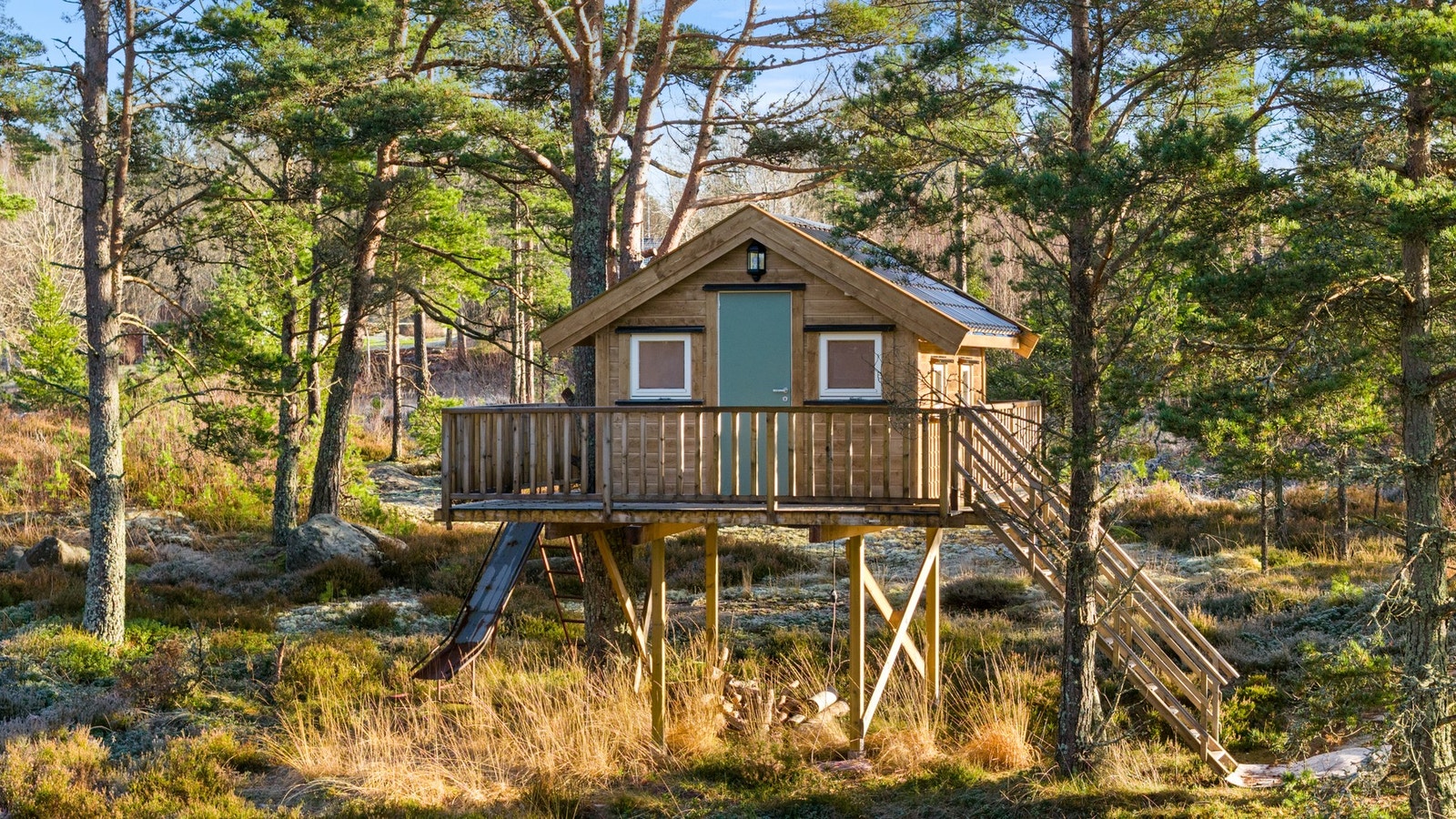 Tretopphytte - ethvert barns drøm! Galleribilde