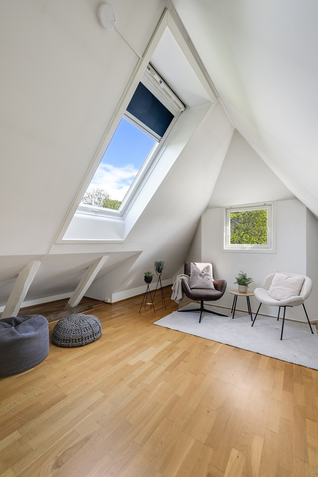 Takvindu som kan åpnes, med solskjerming / plissé. Galleribilde