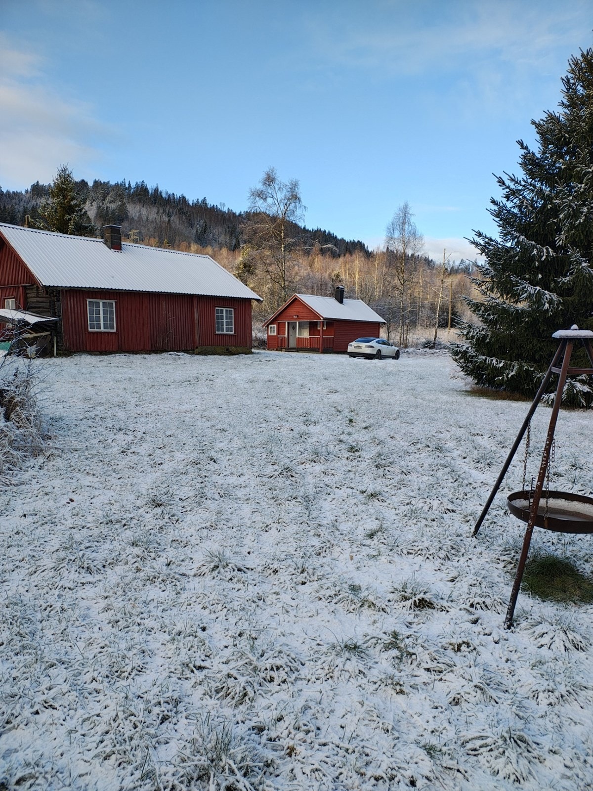 Selgers privatbilde Galleribilde