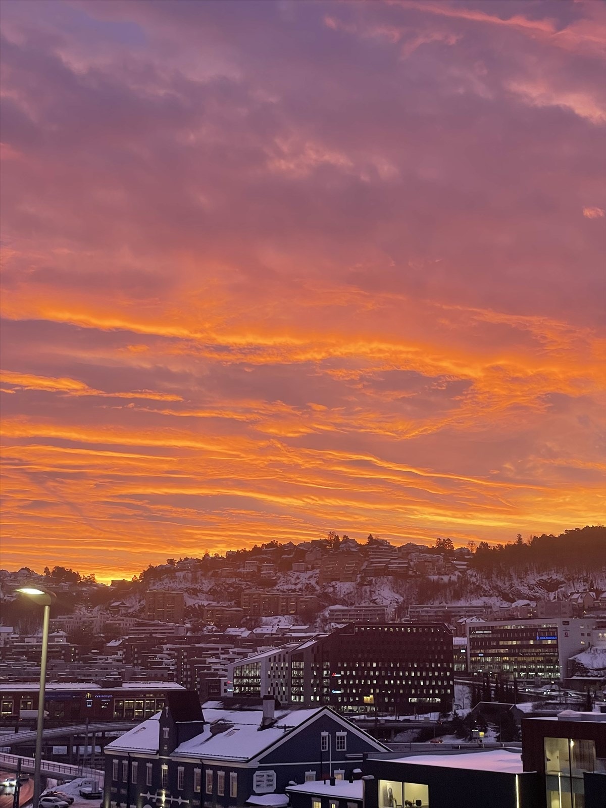 Selgers private bilder. Galleribilde