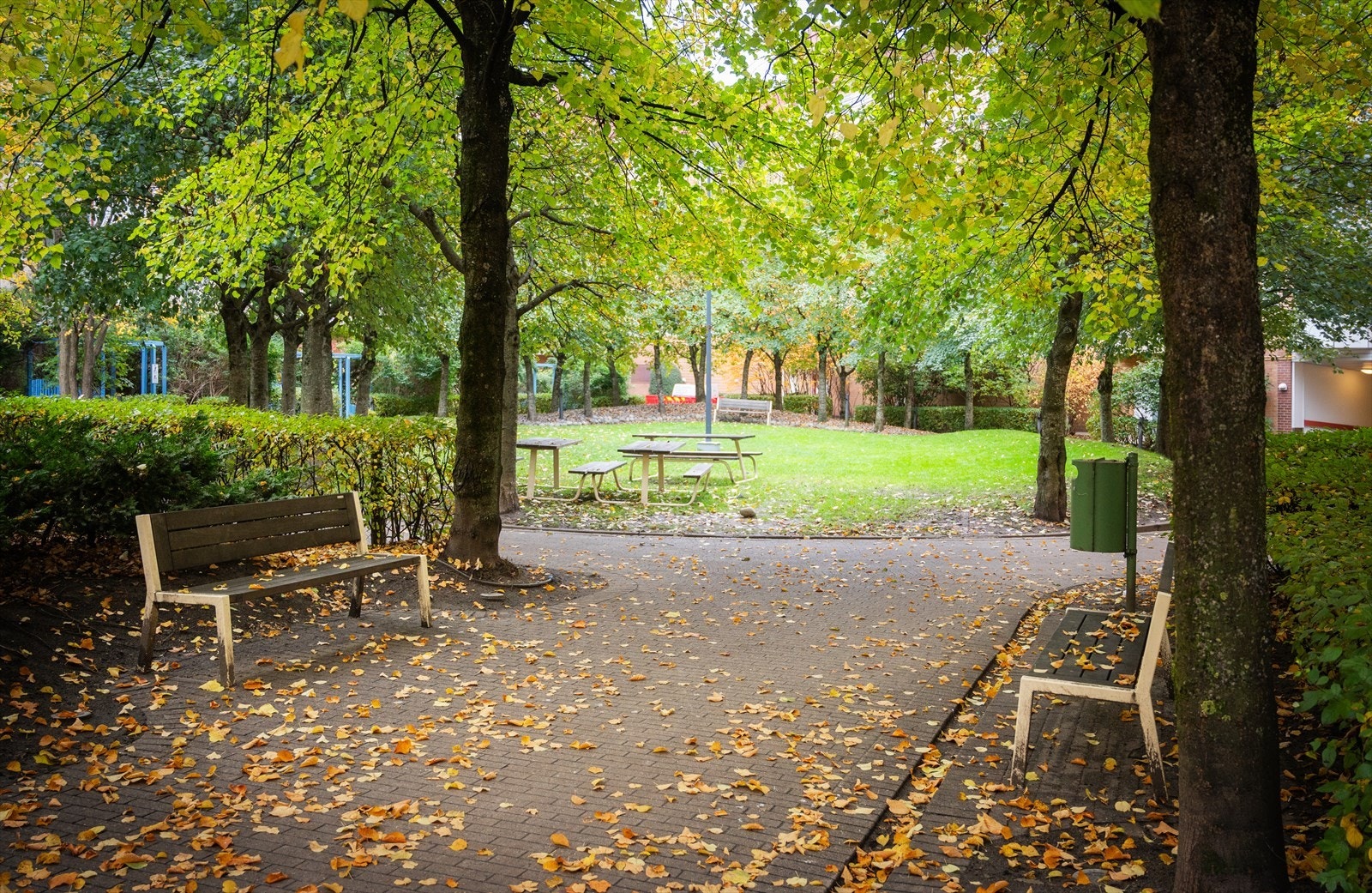 Det er kort vei til flotte turområder som Botanisk Hage og stiene langs Akerselva. Galleribilde
