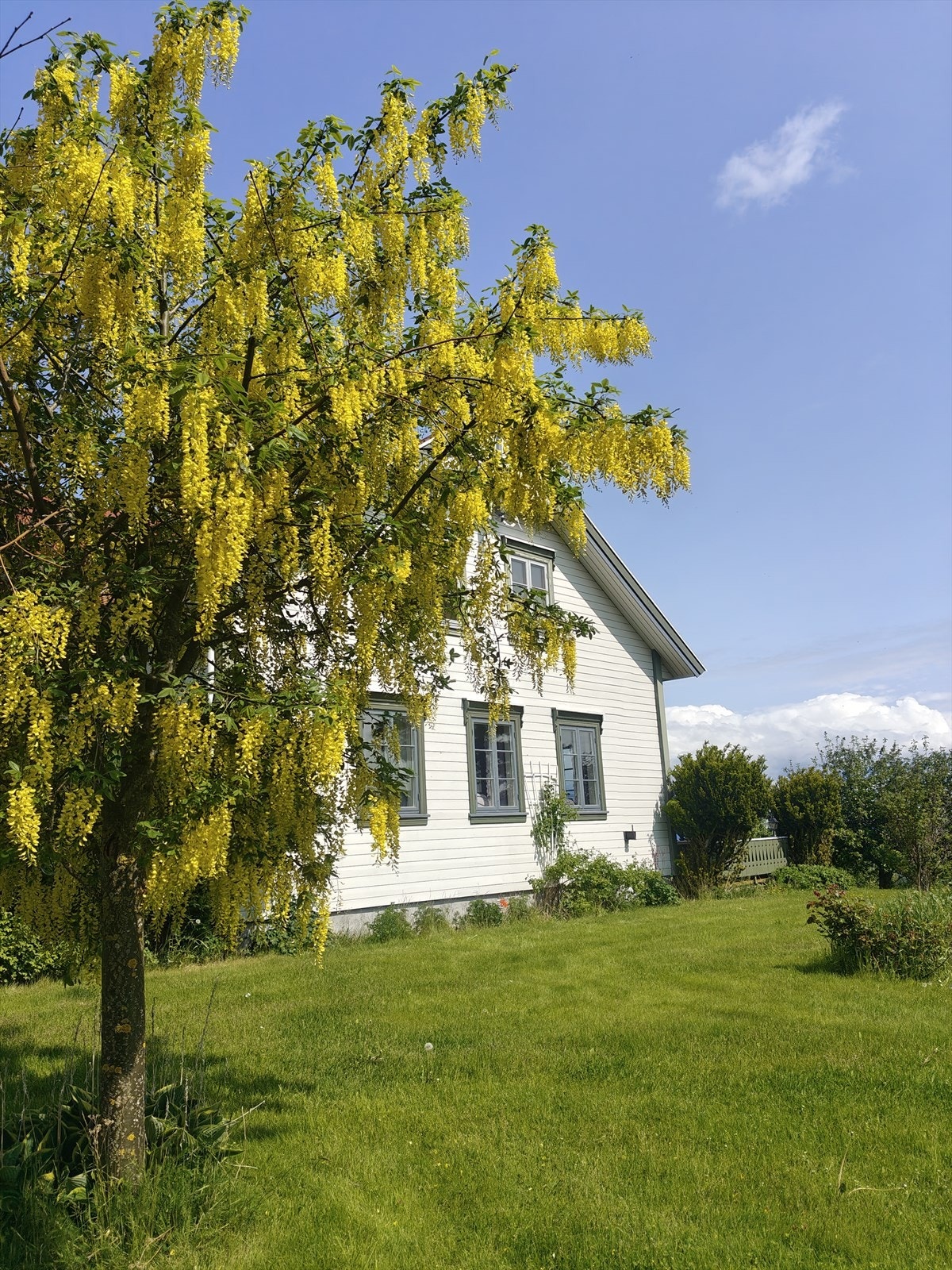 Hage - Trudvengvegen 52 hovedbolig Galleribilde