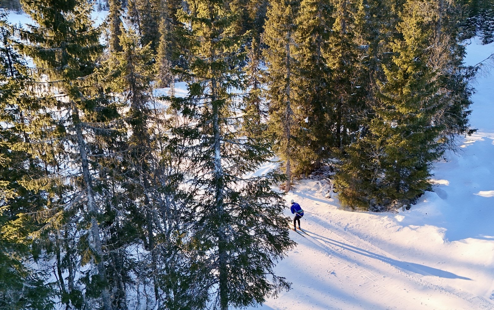 Området byr på flotte ski- og turløyper i naturskjønne omgivelser. Galleribilde