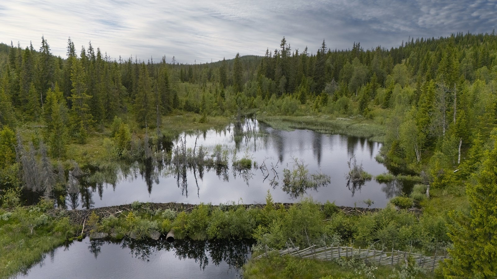 Flere små vann og bekker i nærheten - kanskje er det fisk der også... Galleribilde