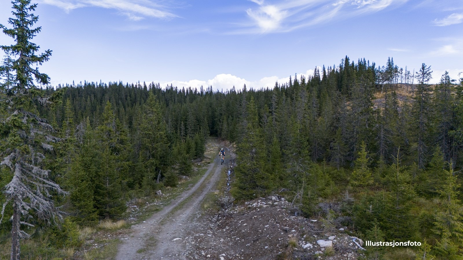 I område er det flotte skiløyper på vinteren, men også et rikelig skogsbilveg nett som innbyr til fine sykkelturer innover åsen Galleribilde