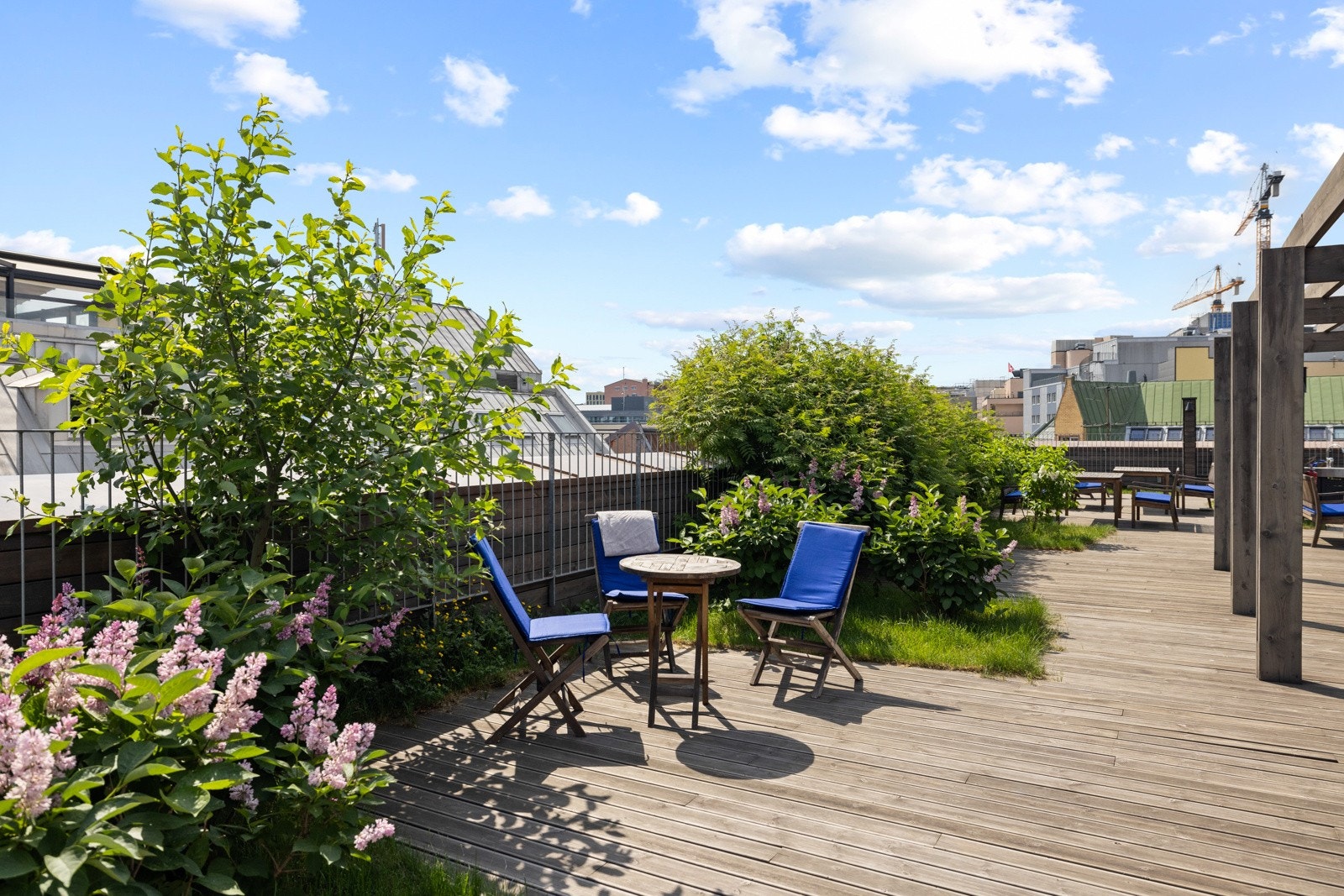 Her er det mange ulike soner for ulike behov og preferanser. Galleribilde