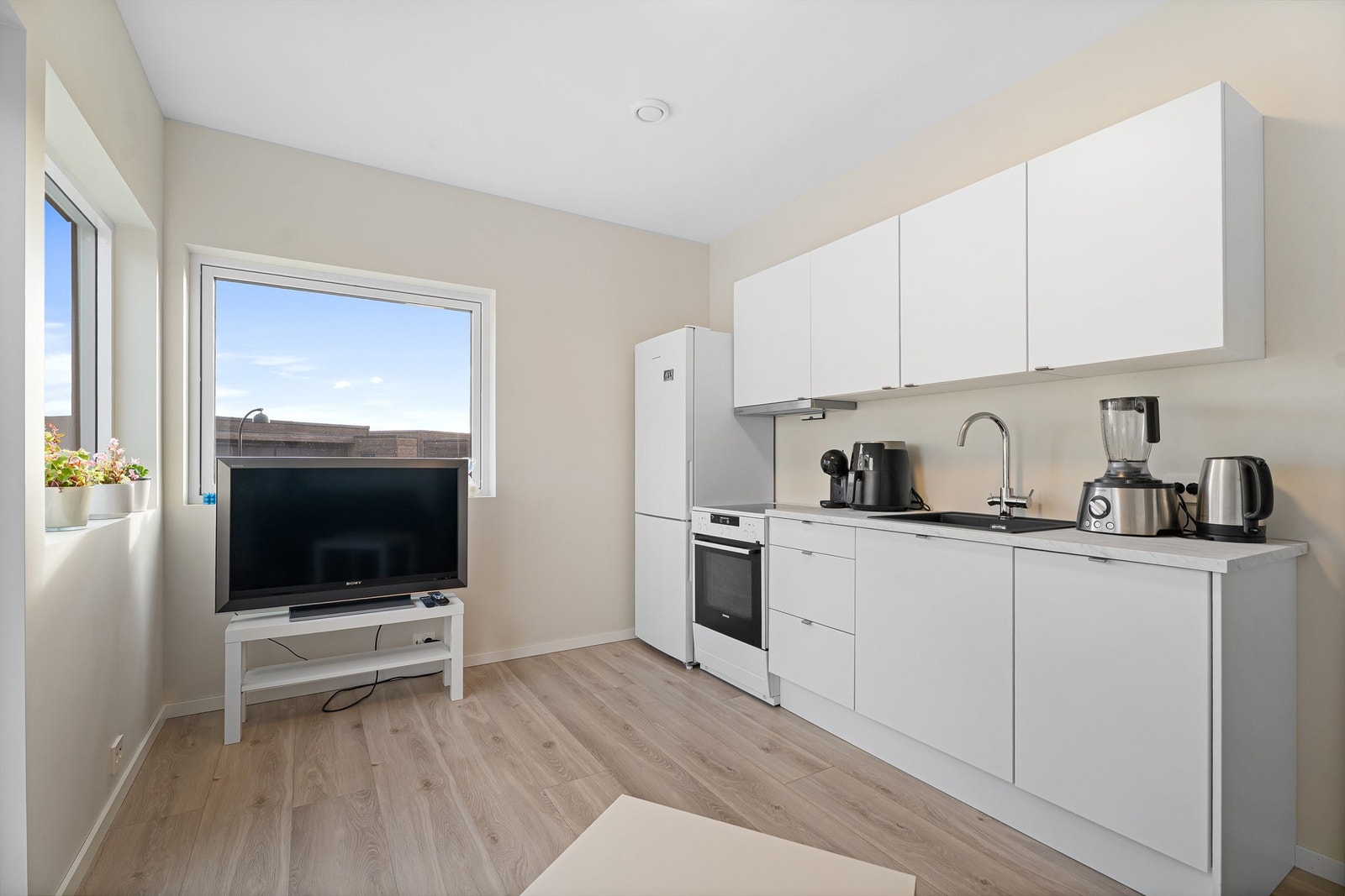 Stue/kjøkken Galleribilde